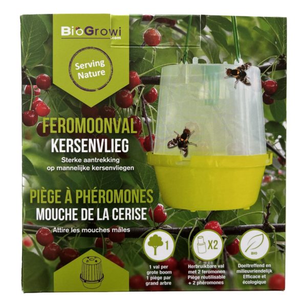 Piège à phéromone contre la mouche de la cerise
