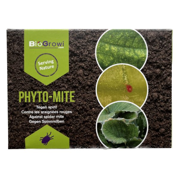 Phytoseiulus persimilis contre l'araignée rouge