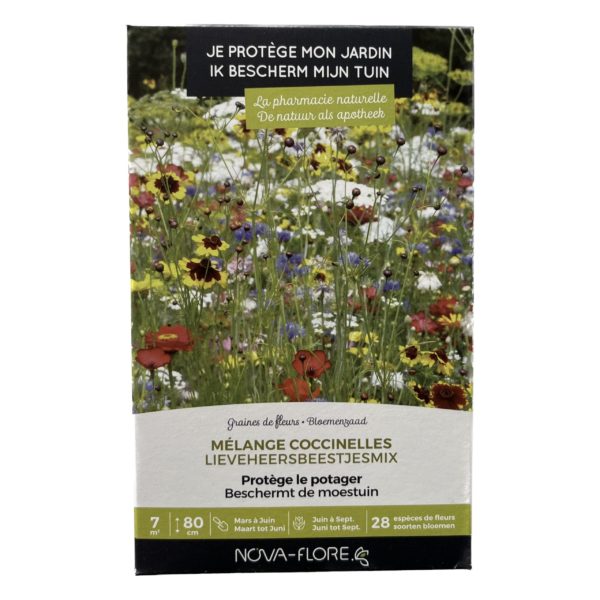 Semences pour bandes fleuries attractives pour les coccinelles