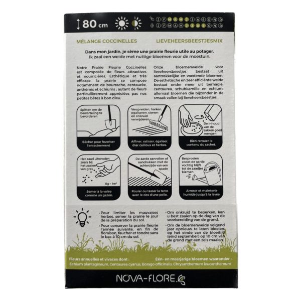 Semences pour bandes fleuries attractives pour les coccinelles – Image 2